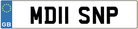 Truck License Plate
